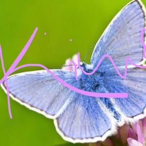 Meet your Posher, Kindred